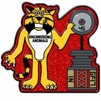 Destination Imagination Pin