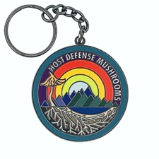custom enamel keychains