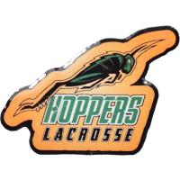 Custom lacrosse pin example