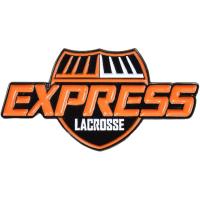 Custom lacrosse pin example