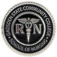 custom nursing pins