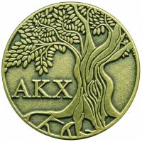 custom sorority pins custom sorority pins