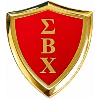 custom sorority pins custom sorority pins