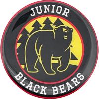 Custom hockey pin example