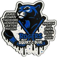 Custom hockey pin example