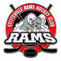 Custom hockey pin example