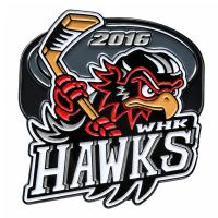 Custom hockey pin example