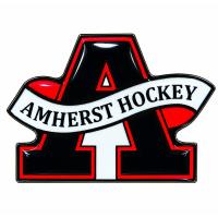 Custom hockey pin example