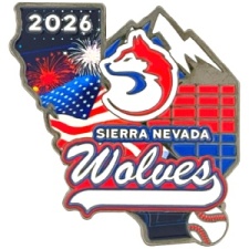 Custom USSSA trading pins